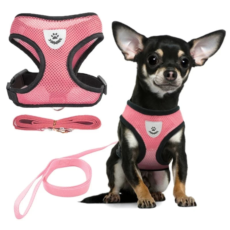 Conjunto de arnês ajustável para animais de estimação e coleira, colete respirável para pug, chihuahua, bulldog