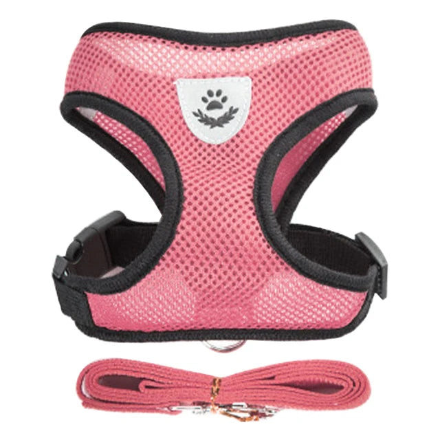 Conjunto de arnês ajustável para animais de estimação e coleira, colete respirável para pug, chihuahua, bulldog