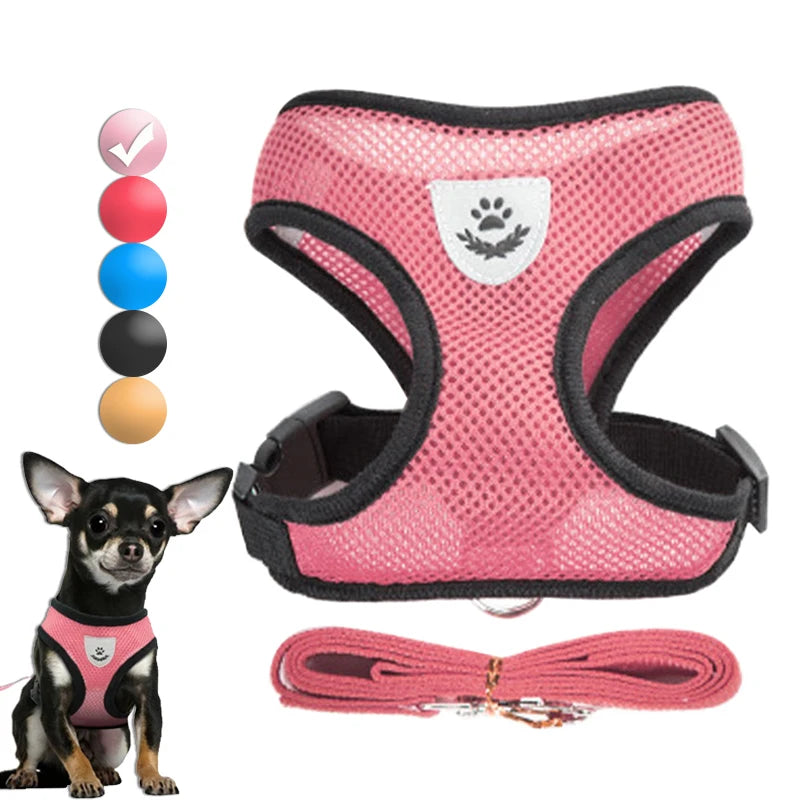 Conjunto de arnês ajustável para animais de estimação e coleira, colete respirável para pug, chihuahua, bulldog